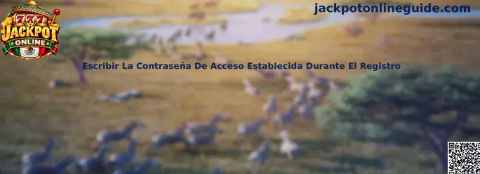 Guía para escribir la contraseña de acceso establecida durante el registro